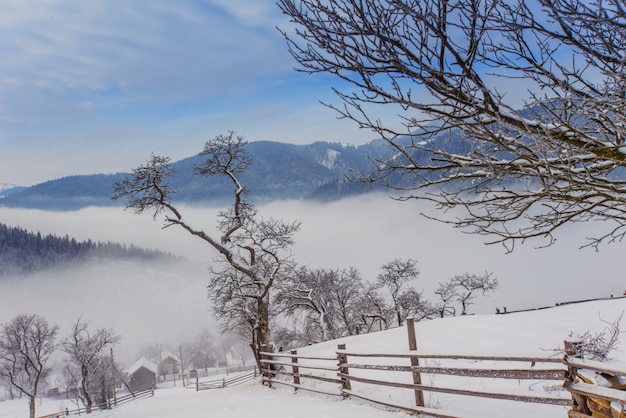 Karpaten Winter Berge