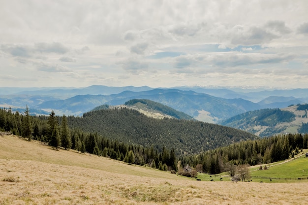 Karpatengebirge Draufsicht Landschaftskamm Sommersaison dramatische Wetterzeit mit bewölktem blauem Himmel