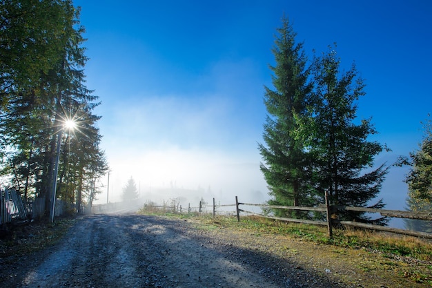 Karpatengebirgs sonnige Landschaft