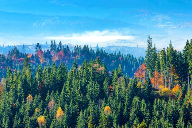 Karpatengebirgssonnige Landschaft