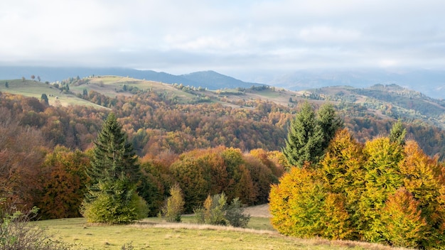 Karpatenlandschaft im Oktober Hügel und Bergkette bei warmem, sonnigem Wetter mit niedrigen Wolken am Himmel im Herbst