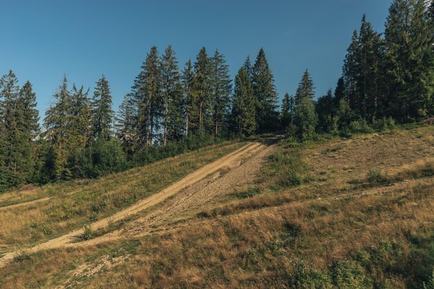 Karpatische Sommerlandschaft Schöne Berge auf dem blauen Himmel