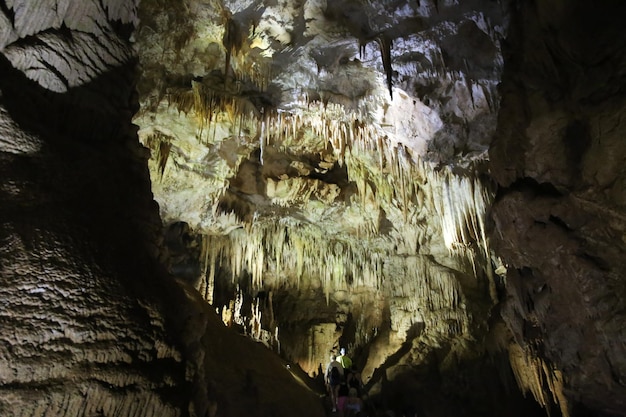 Karsthöhlen von Sataplia Reserve Georgia