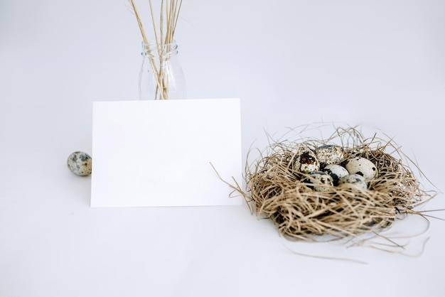 Foto karte für die inschrift neben wachteleiern im nest auf weißem hintergrund