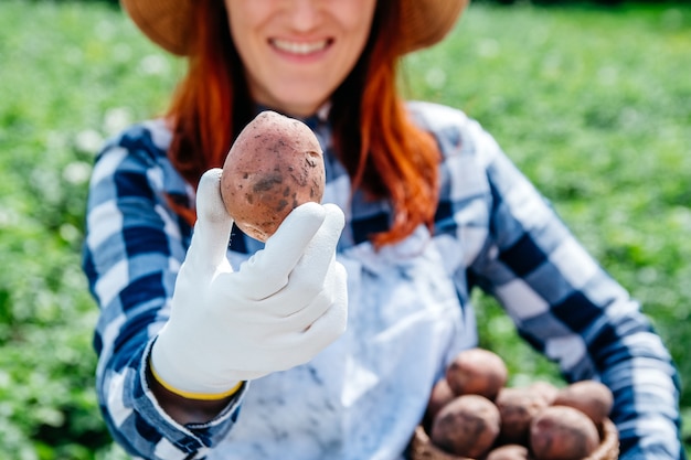 Foto kartoffeln in einem weidenkorb in den händen einer bäuerin vor dem hintergrund von grünem laub.
