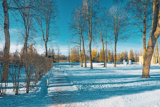 Katharinenpark in der Nähe des gleichnamigen Palastes, Zarskoje Selo (Puschkin). Sankt Petersburg. Russland.