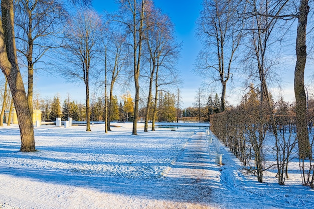 Katharinenpark in der Nähe des gleichnamigen Palastes, Zarskoje Selo (Puschkin). Sankt Petersburg. Russland.