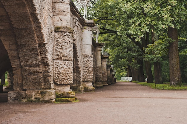 Katharinenpark in Zarskoje Selo 1043