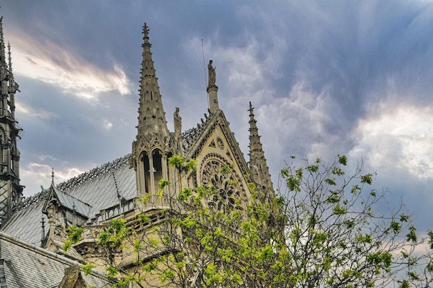 Kathedrale Notre-Dame in Paris