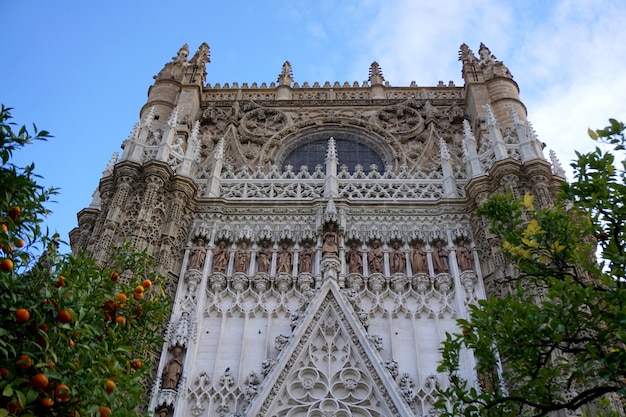 Foto kathedrale von santa maria de la sede von sevilla, in andalusien, spanien. das gotische gebäude ist hinter grünen orangenbäumen zu sehen.