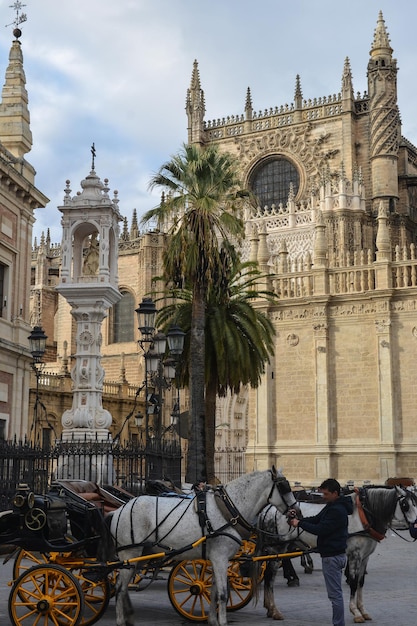 Kathedrale von Sevilla