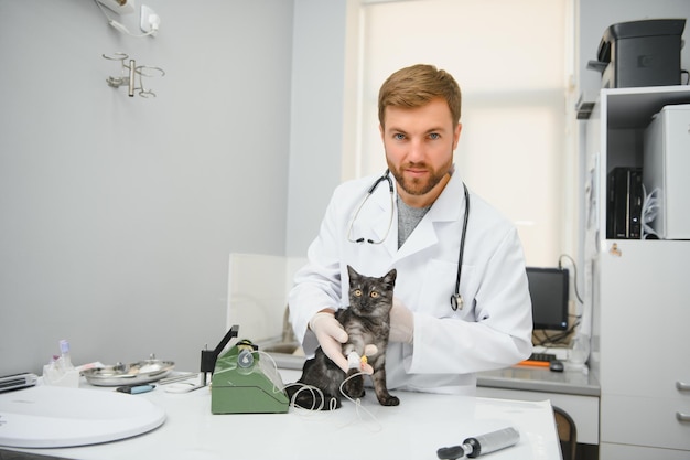 Katze auf Untersuchungstisch der Tierklinik Tierärztliche Versorgung Tierarzt und Katze