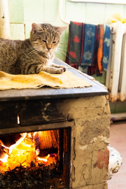 Katze, die auf Ofenkamin schläft