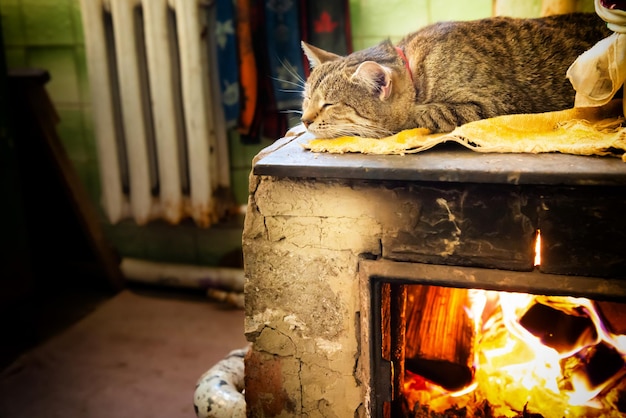 Katze, die auf Ofenkamin schläft