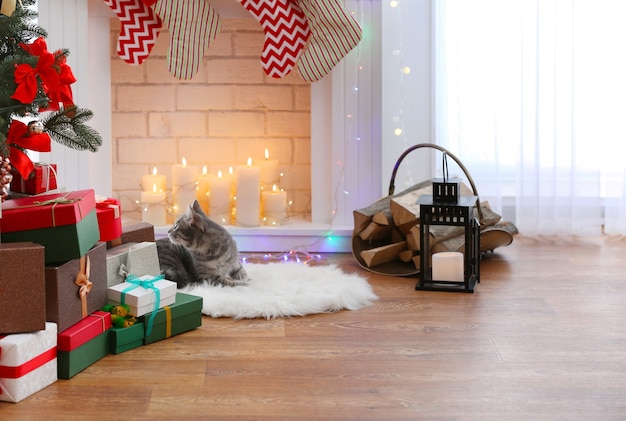 Katze, die nahe Kamin im Wohnzimmer liegt, das für Weihnachten verziert wird