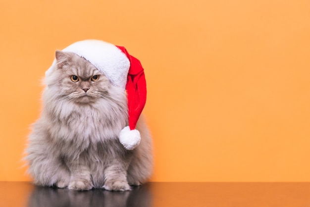 Katze, die Weihnachtsmütze trägt