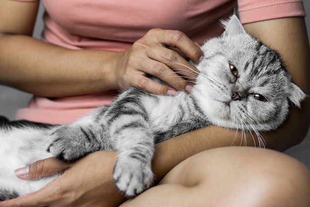 Katze glücklich auf dem Schoß liegen.