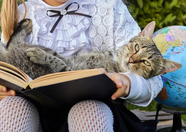 Katze im Buch