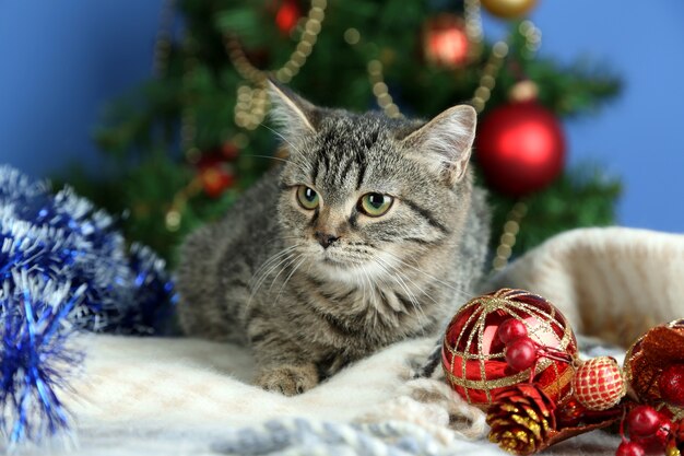 Katze im festlichen Lametta auf Weihnachtsbaumhintergrund