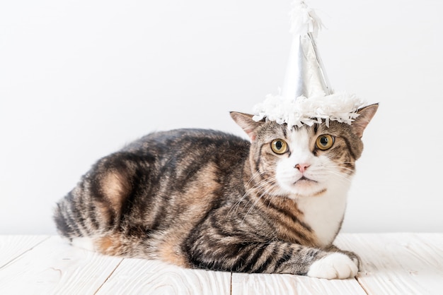 Katze mit Partyhut