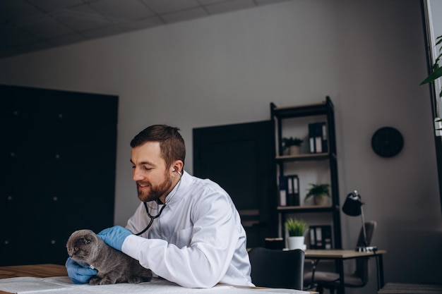 Katze mit Tierarzt in der Tierklinik