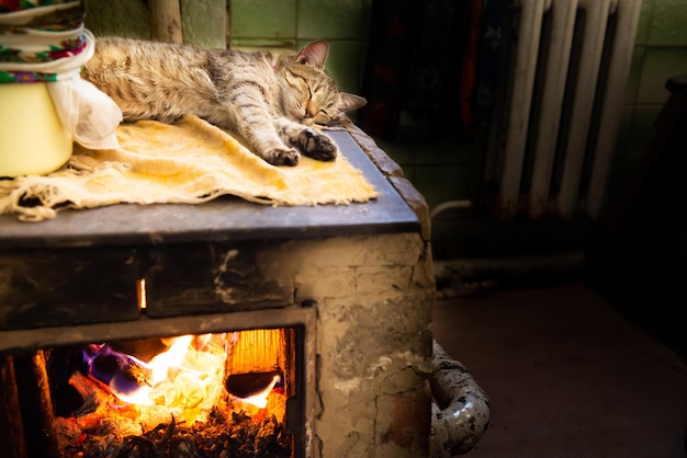 Katze schläft auf dem Kaminofen im Wohnzimmer