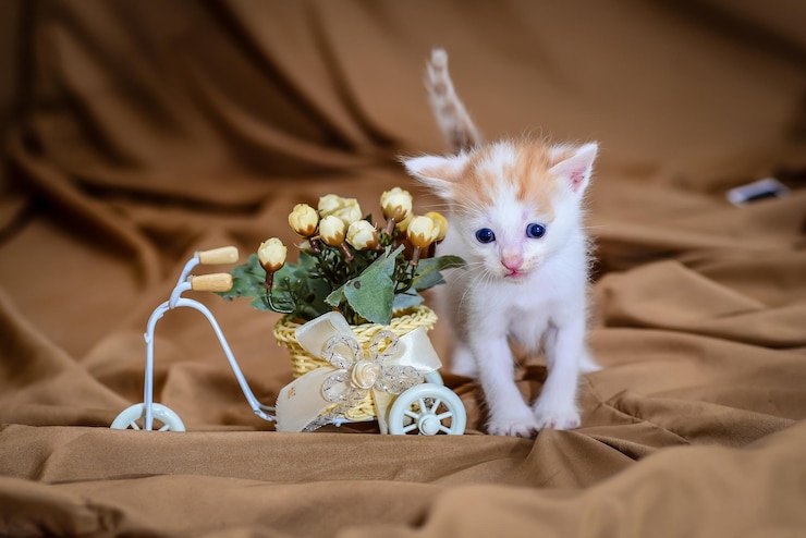 Foto katze sitzt in einem bett