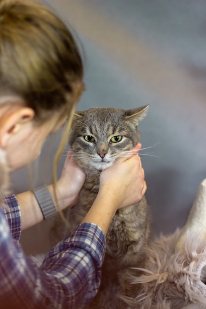 Katze und Weihnachtsferien Weihnachtsdeko