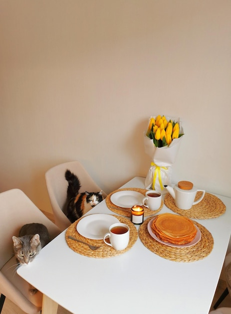 Katzen sitzen an einem gedeckten Tisch mit einem Blumenstrauß und Pfannkuchen