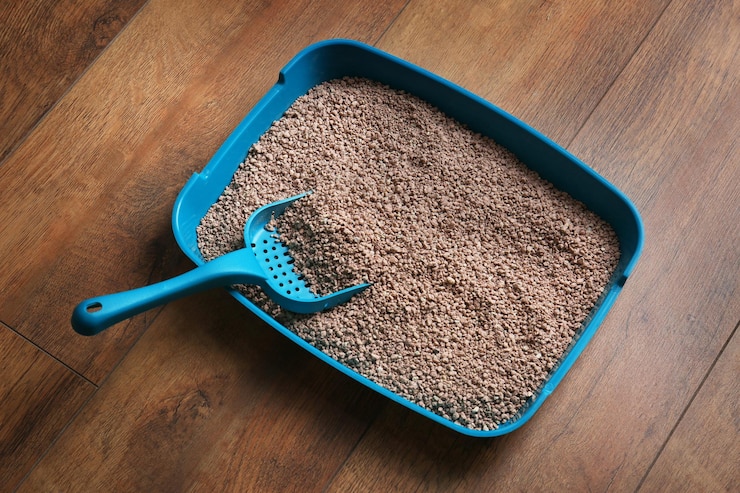 Foto katzenkühe mit schaufel auf holzboden