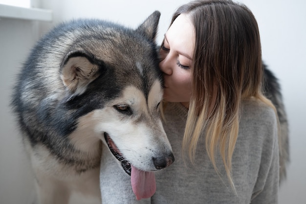 Kaukasische attraktive Frau, die alaskischen Malamute-Hund küsst. Innen.