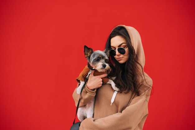kaukasische hundebesitzerin mit sonnenbrille und kapuzenpulli, die ihr kleines haustier york umarmt