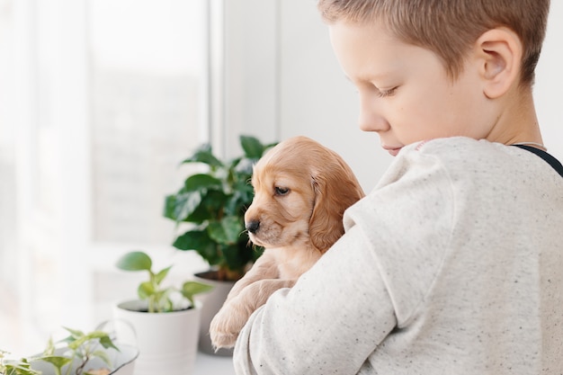 Foto kaukasischer junge, der englischen cockerspanielwelpen hält