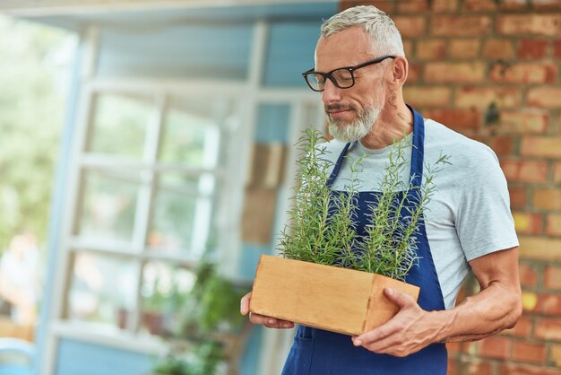 Kaukasischer Mann mittleren Alters, der das Aroma von würzigem Rosmarin schnüffelt