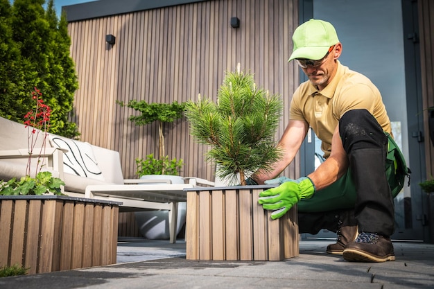 Kaukasischer Mann schmückt seine neue Terrassenterrasse mit kleinen Kiefern