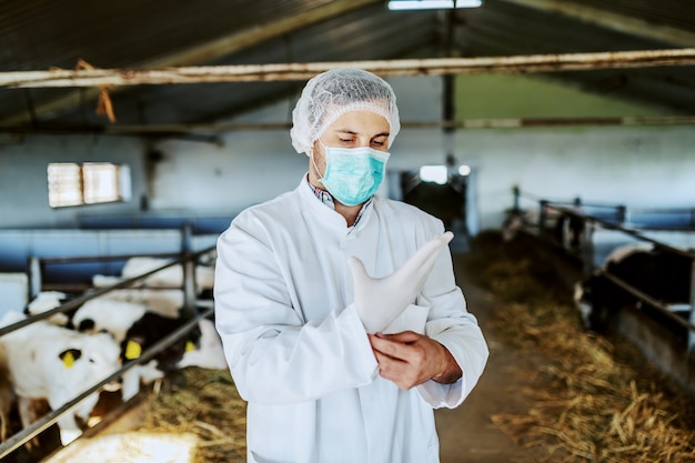 Kaukasischer Tierarzt in Schutzkleidung mit Gummihandschuhen im Stehen