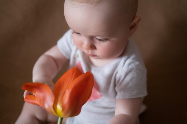 Kaukasisches Babymädchen, das mit einer Blume auf einem braunen Hintergrund spielt