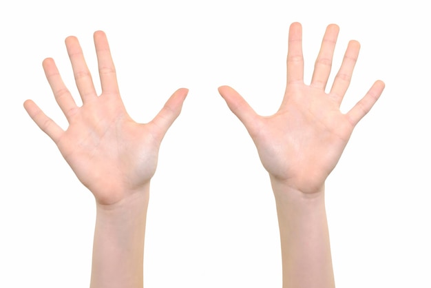 Kaukasisches weißes Mädchen zeigt ihre Hände mit offenen Handflächen auf weißem Hintergrund in Nahaufnahme