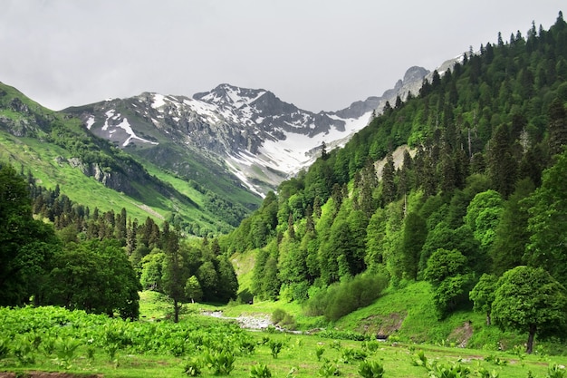 Kaukasus im Sommer Avadhara Republik Abchasien