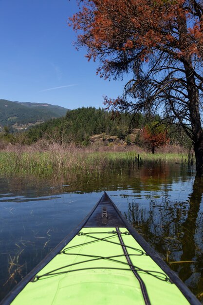 Kayak en el río Harrison durante un hermoso y vibrante día de verano