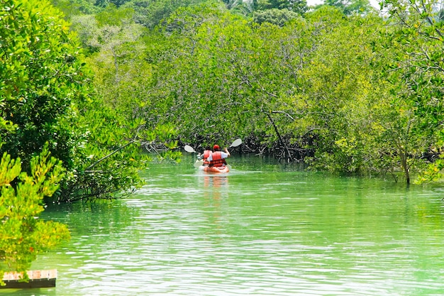 Kayak en la selva de manglares cerca de Koh Payam Resort., Tailandia