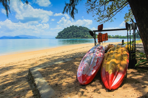 Kayaks de mar apilados en la playa bajo palmeras