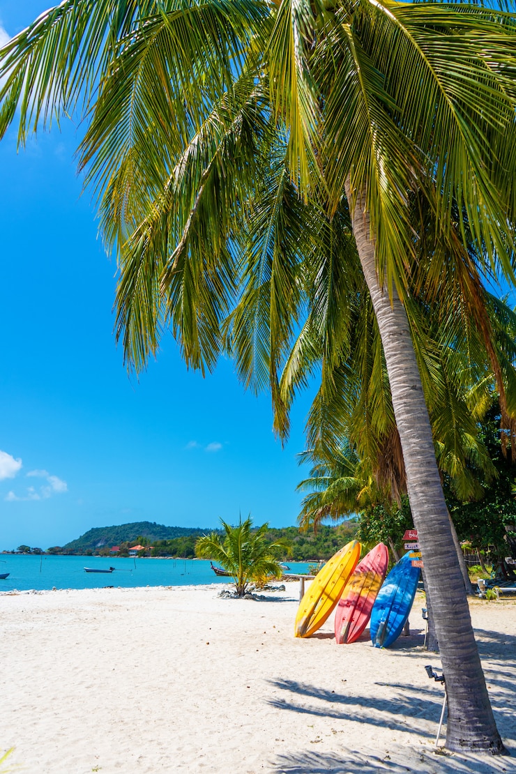 Foto kayaks multicolores en una playa tropical de arena. alquiler de kayak. entretenimiento turistico