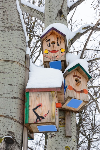 Kazán, Rusia - 25 de febrero de 2019: pajareras sonrientes. Casita para pájaros en forma de cara divertida en el árbol. Caja nido de madera artesanal cubierta de nieve. Paisaje invernal con árboles cubiertos de nieve.