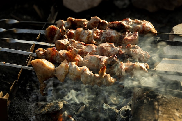 Kebab de cerdo frito en brochetas a la parrilla de carbón en la naturaleza