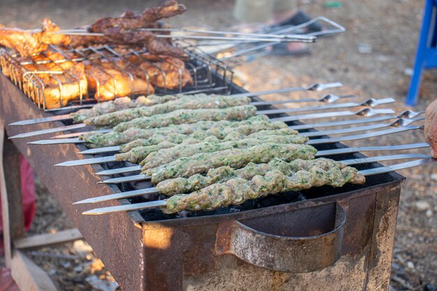 Kebab en el fuego asando kabob en el carbón durante el picnic