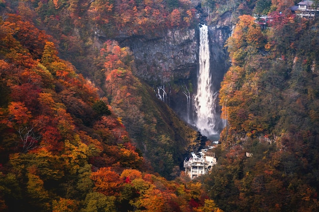 Kegon Falls im Herbst