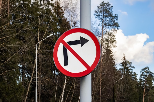 Kein abbiegendes Straßenschild auf Waldhintergrund