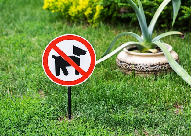 Kein Hundespaziergang auf dem Rasen im Park