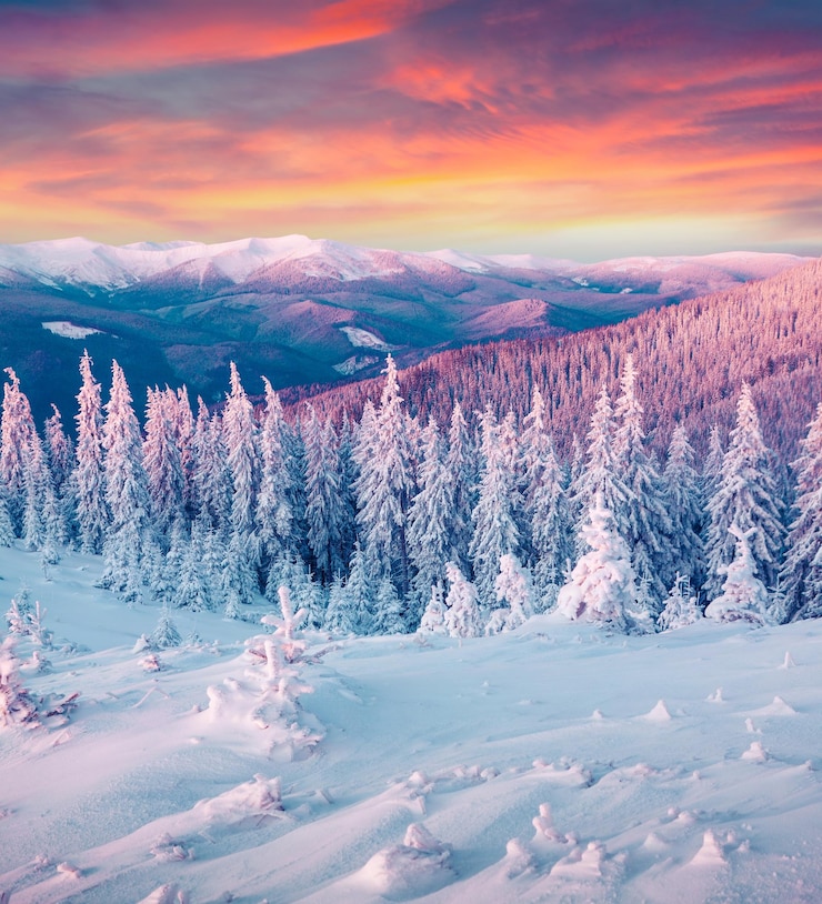 Foto keine menschen landschaft im freien schnee baum himmel berg wolke natur sonnenuntergang wald winter kiefer